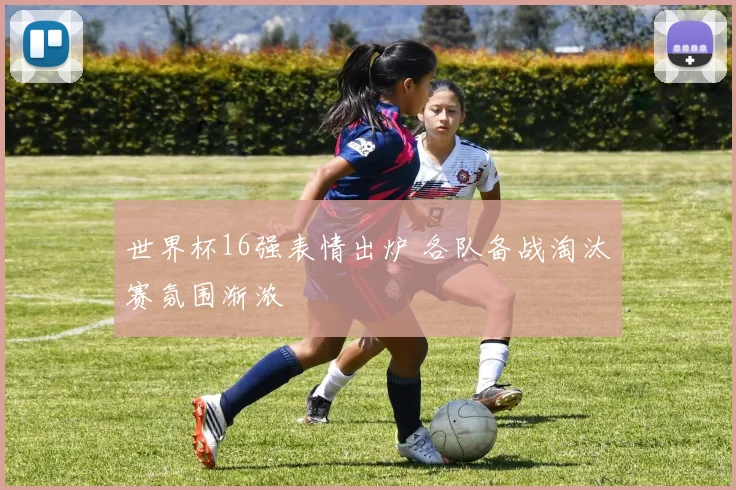 世界杯16强表情出炉 各队备战淘汰赛氛围渐浓