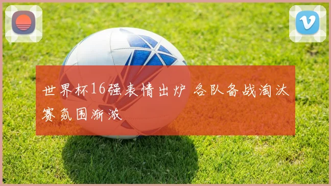 世界杯16强表情出炉 各队备战淘汰赛氛围渐浓