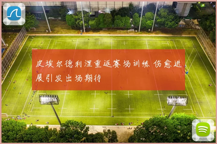 皮埃尔德利涅重返赛场训练 伤愈进展引发出场期待