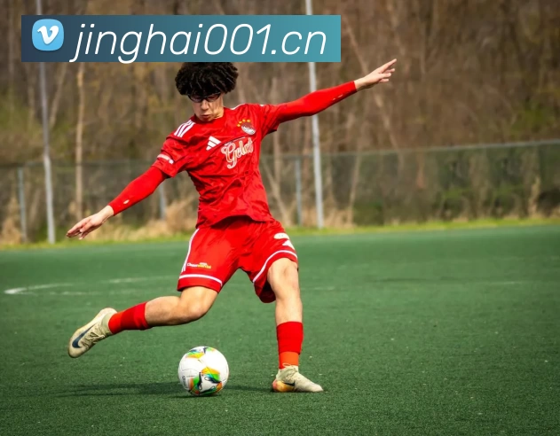 半岛·体育(中国)官方网站 - BANDAO SPORTSAPP 封面图